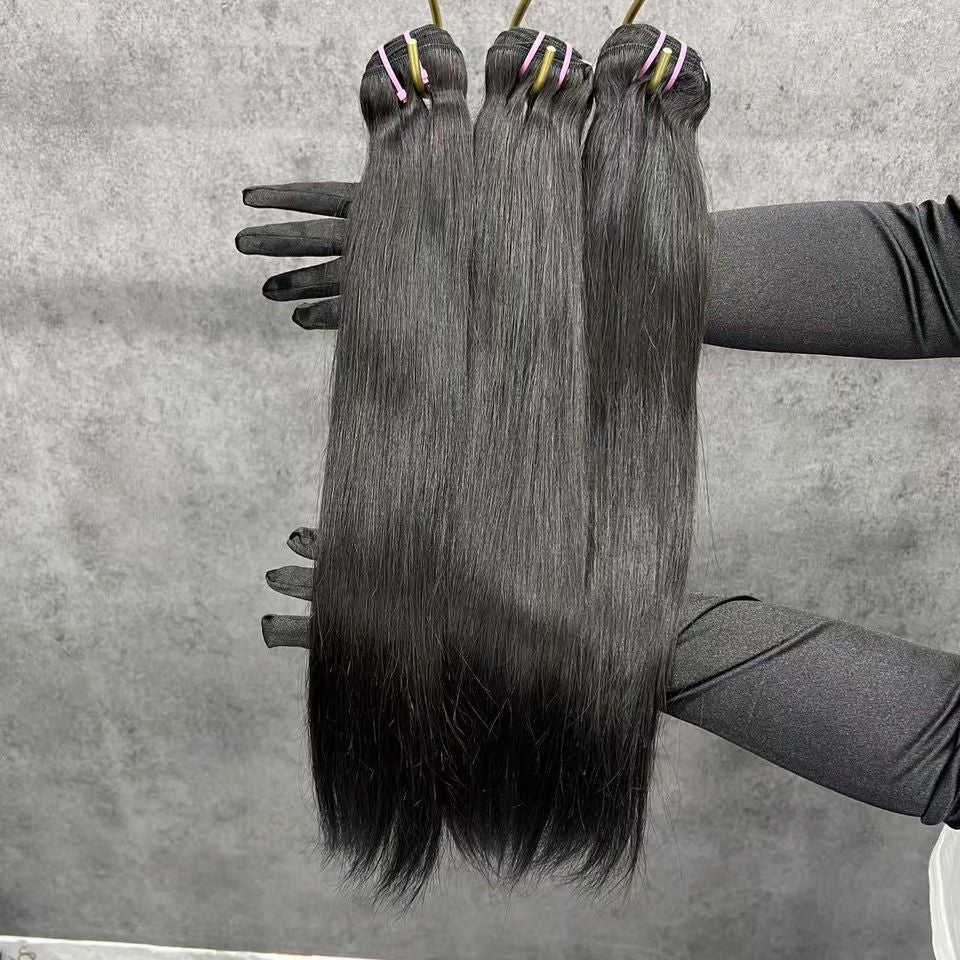 Virgin Burmese Straight