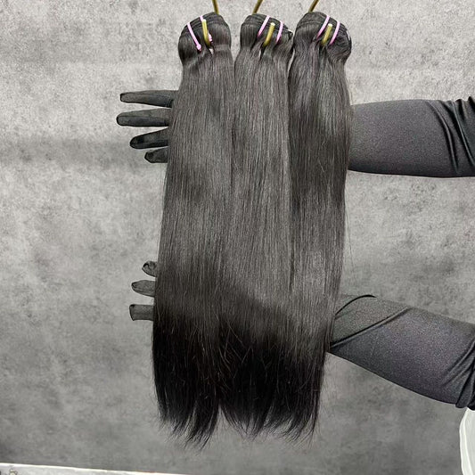 Virgin Burmese Straight