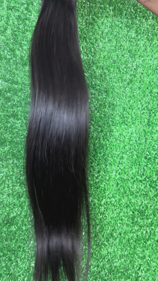 Virgin Burmese Straight
